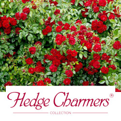 Hedge Charmers®  Collection